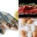 5 alimentos mais nutritivos do mundo