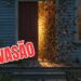 Os piores hábitos que fazem as moscas invadirem sua casa e como evitá-los