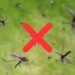As melhores ervas para espantar mosquitos e refrescar o ambiente