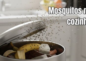 Este detalhe na lixeira pode ser o motivo dos mosquitos na cozinha
