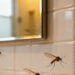 O melhor truque com alecrim para espantar mosquitinhos do banheiro