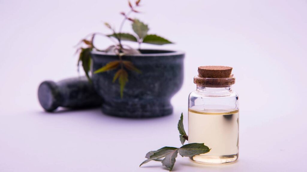 Óleos naturais que protegem sua geladeira contra os cupins