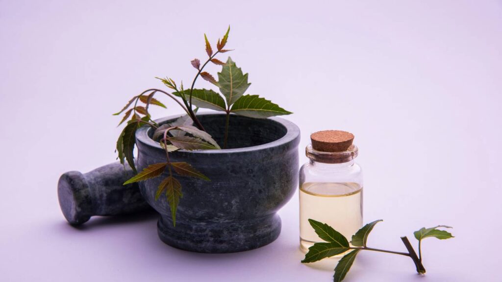 Produto natural que elimina carrapatos em minutos