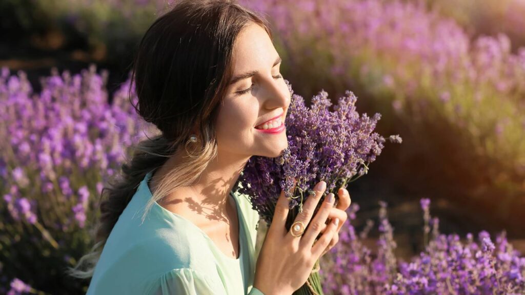Infusão de lavanda para ter uma noite de sono mais tranquila