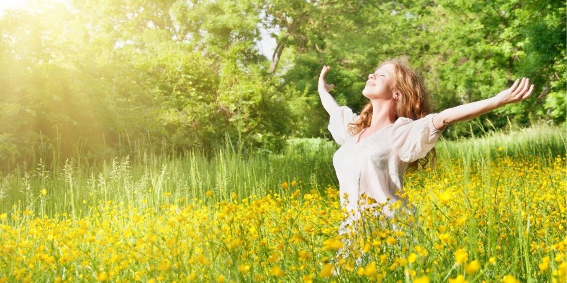 As plantas mais fáceis de cultivar para limpar o sangue naturalmente