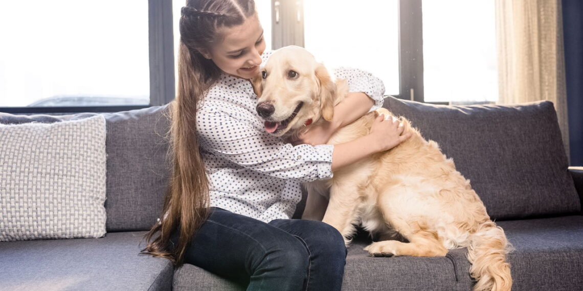 Seguir o dono é um comportamento comum em cães e geralmente ligado a vínculo e aprendizado