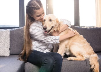 Seguir o dono é um comportamento comum em cães e geralmente ligado a vínculo e aprendizado