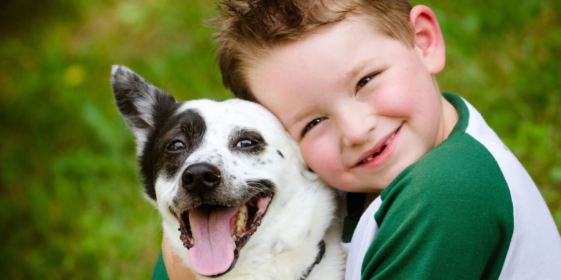 Nomes de cachorro inspirados em filmes estão conquistando os tutores
