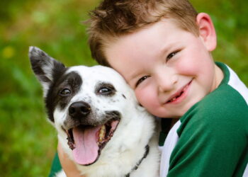 Nomes de cachorro inspirados em filmes estão conquistando os tutores