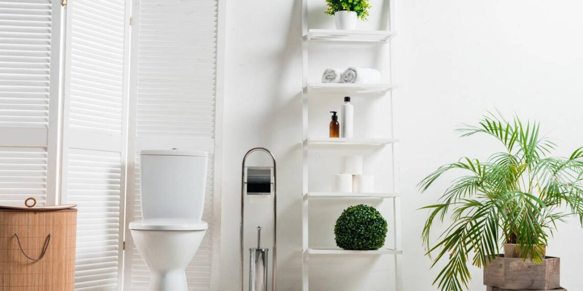 As 7 melhores plantas para colocar no banheiro, segundo Feng Shui