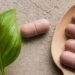 Receitas naturais que fortalecem a imunidade com chás fitoterápicos