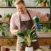 Plantas que impactam positivamente na saúde, segundo Feng Shui
