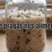 Evite bichinhos nos alimentos com estes métodos práticos e fáceis