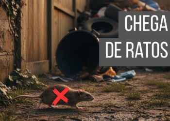 Mantenha os ratos longe do quintal com segurança seguindo estas dicas
