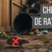 Mantenha os ratos longe do quintal com segurança seguindo estas dicas