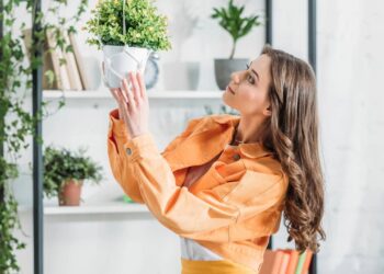 Como absorver as boas energias das plantas
