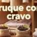 Truque com cravo para proteger roupas delicadas