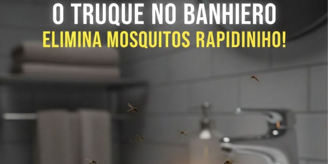 O truque no banheiro que elimina os mosquitos rapidinho