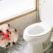 Mantenha o vaso sanitário livre de pragas com estas dicas infalíveis