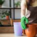 3 frutas que crescem rápido em vasos e garantem colheita o ano todo