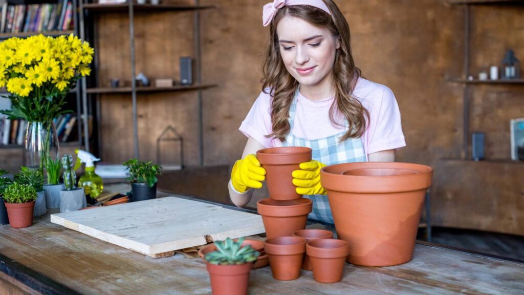 Jardim em vasos pode ser montado com sementes comuns e cuidados simples, garantindo floração duradoura e melhor aproveitamento