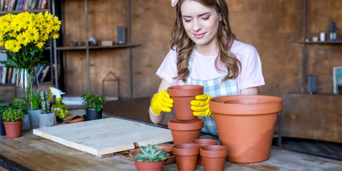 Jardim em vasos pode ser montado com sementes comuns e cuidados simples, garantindo floração duradoura e melhor aproveitamento