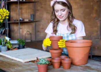 Jardim em vasos pode ser montado com sementes comuns e cuidados simples, garantindo floração duradoura e melhor aproveitamento