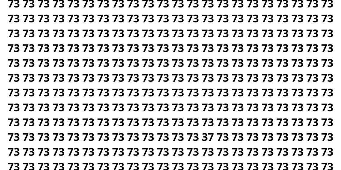 Apenas 2 em cada 15 pessoas encontram o número escondido em 4 segundos