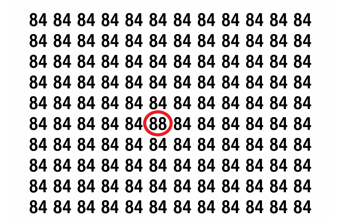 Encontre o número 88 entre vários 84 neste puzzle