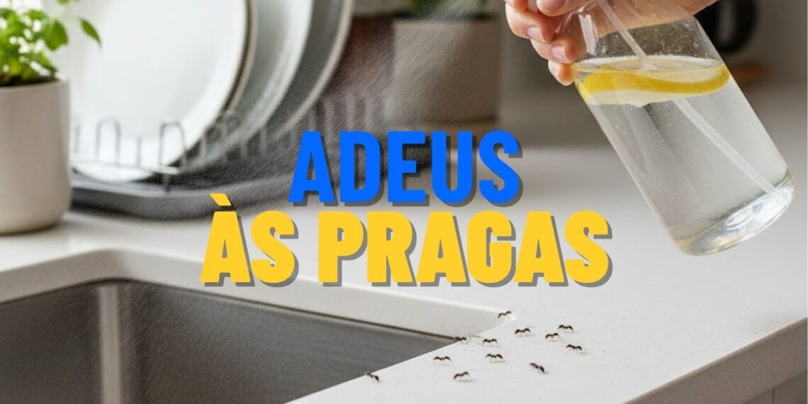 5 Ingredientes da despensa que ajudam a espantar pragas