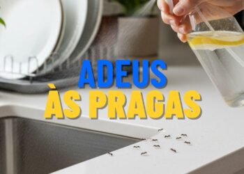 5 Ingredientes da despensa que ajudam a espantar pragas