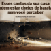 Locais da casa que podem estar cheios de baratas e você nem percebe