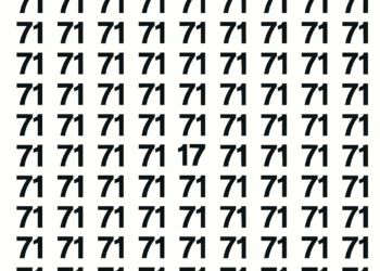 Só 5 em 30 acham o número 17 em 7 segundos neste puzzle