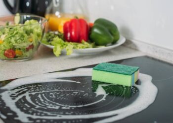 4 locais que quase ninguém limpa na cozinha, mas que as baratas amam ficar