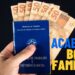 Você perderá o Bolsa Família quando conseguir um emprego?