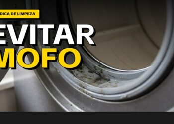 Máquina de lavar com cheiro? Saiba identificar mofo ou risco de praga