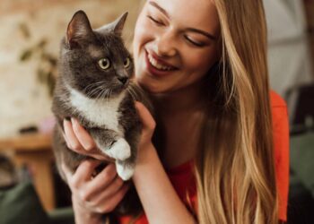 Nomes inspirados em personagens de séries coreanas para colocar em gatos