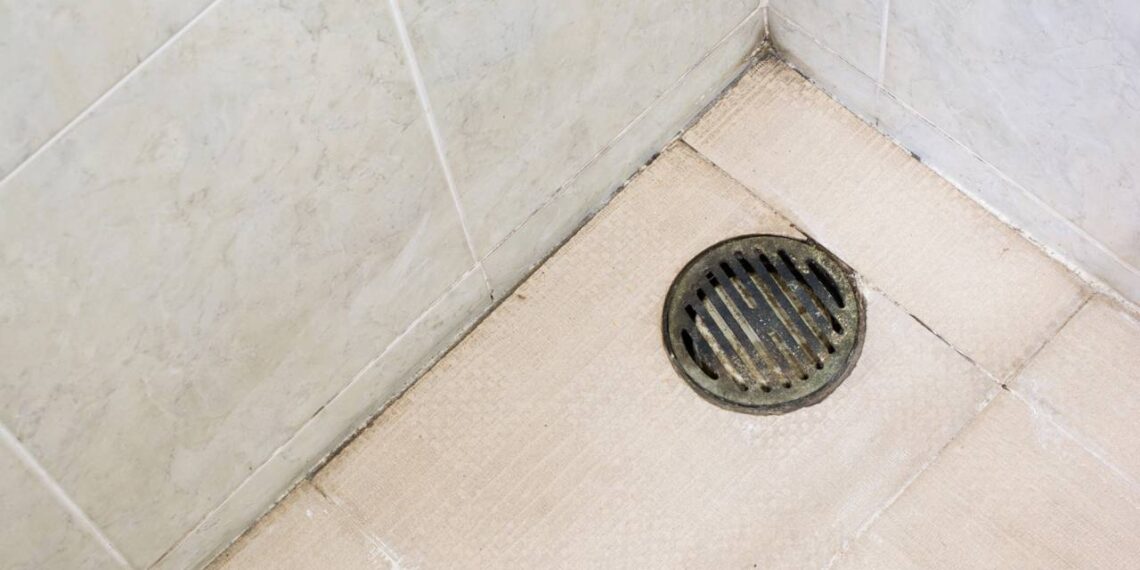 Esta mistura caseira é eficaz contra os mosquitinhos que vivem no ralo do banheiro