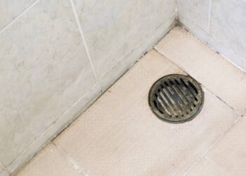 Esta mistura caseira é eficaz contra os mosquitinhos que vivem no ralo do banheiro