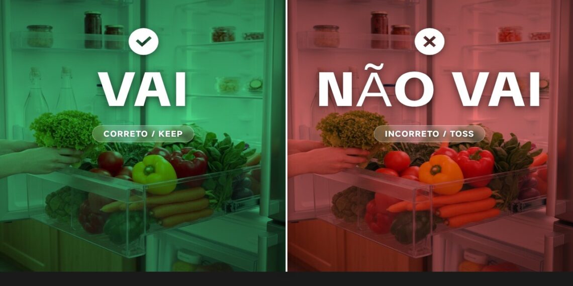 Vai na geladeira ou não? Saiba como conservar verduras e legumes