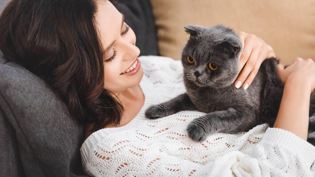 10 erros comuns que tutores iniciantes cometem ao cuidar de um gato
