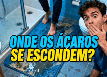 Pragas invisíveis: onde os ácaros se acumulam sem você perceber