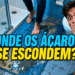 Pragas invisíveis: onde os ácaros se acumulam sem você perceber