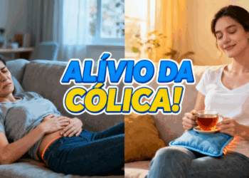 Plantas indicadas por fitoterapeutas para aliviar cólicas menstruais