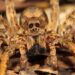 Truques para manter aranhas longe de casa antes que o calor as atraia mais