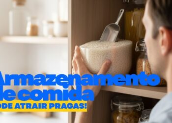 Erros na hora de guardar comida podem atrair pragas para a cozinha