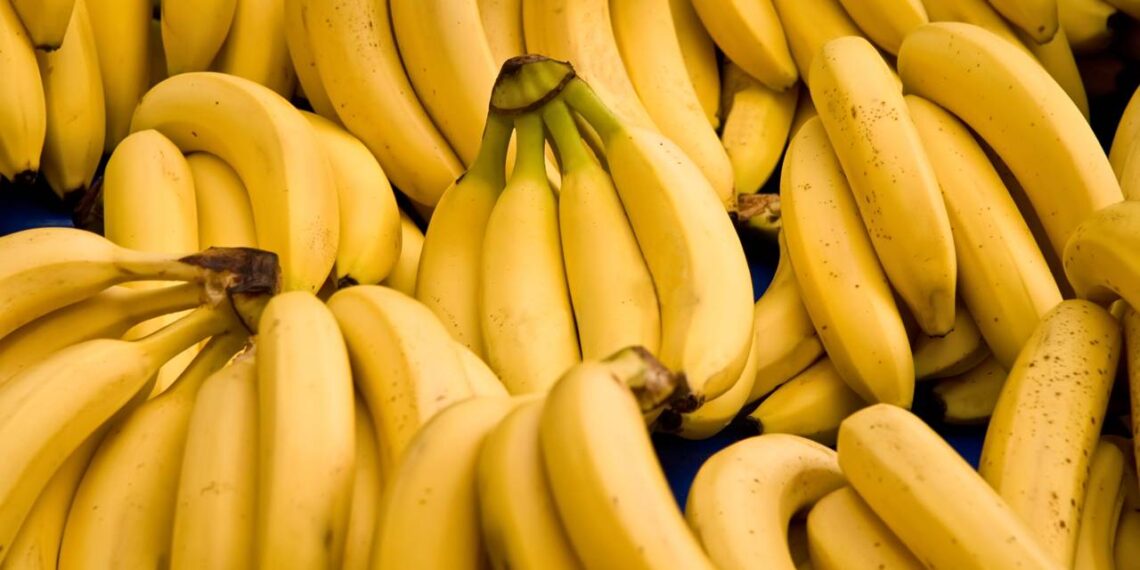 Truque de cozinha que mantém bananas frescas por até 16 dias
