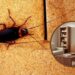 Dicas naturais para afastar baratas que se escondem em móveis de madeira