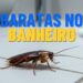 Corra para limpar estes 3 pontos se não quiser baratas no banheiro!