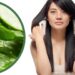 Estas plantas ajudam a fortalecer o cabelo e as unhas graças às suas propriedades